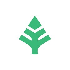 Xylem